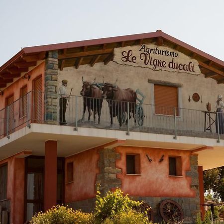 Agriturismo Le Vigne Ducali Mandas ภายนอก รูปภาพ
