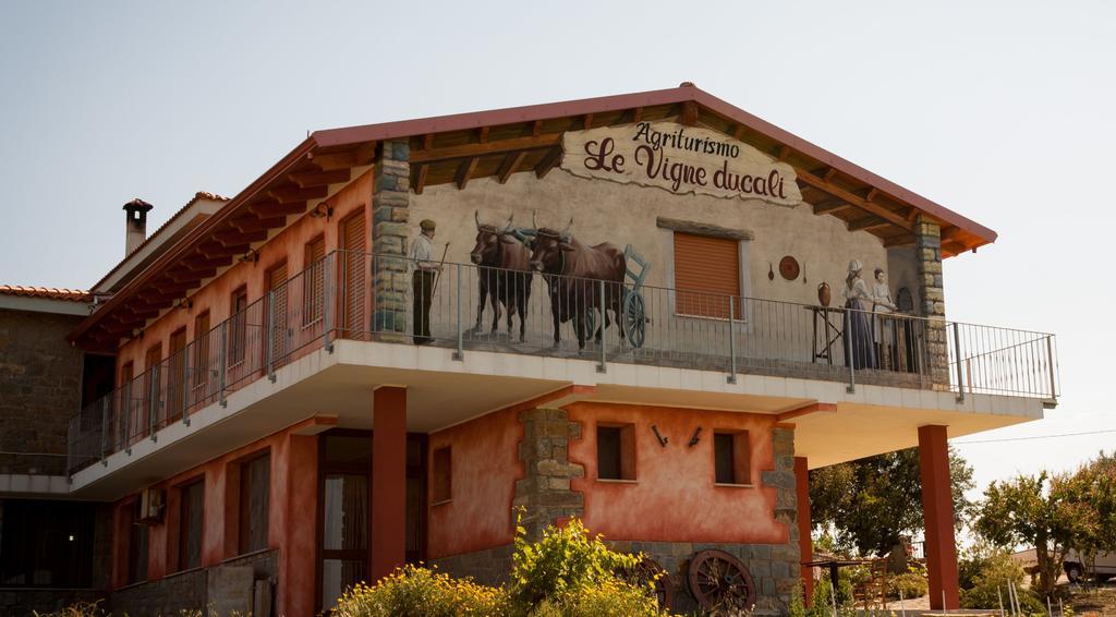 Agriturismo Le Vigne Ducali Mandas ภายนอก รูปภาพ